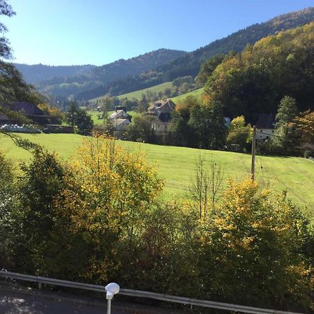 Ferienwohnung Am Bannwald 1 Friburgo em Brisgóvia Exterior foto