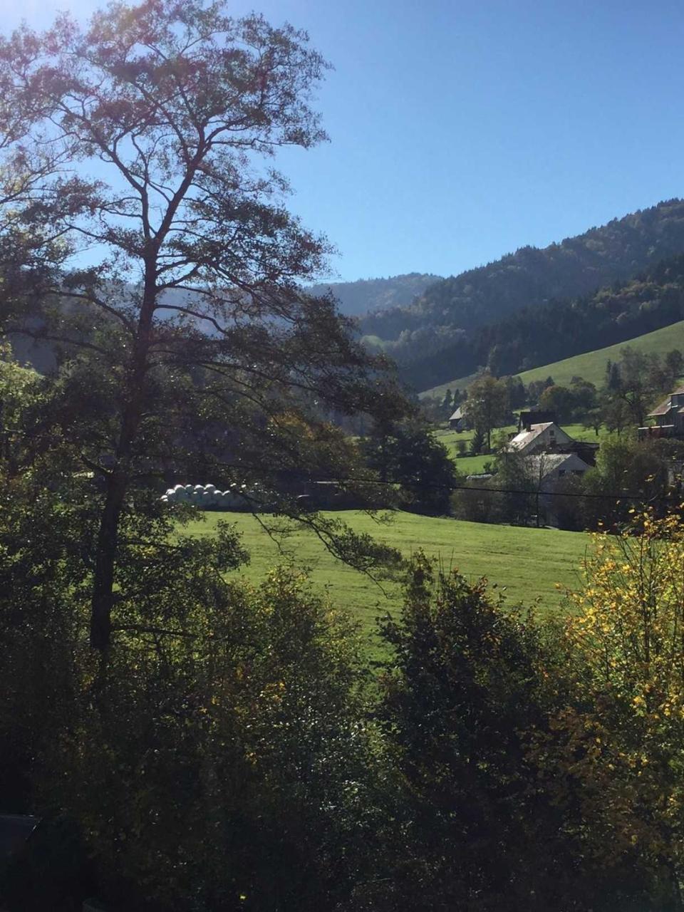 Ferienwohnung Am Bannwald 1 Friburgo em Brisgóvia Exterior foto